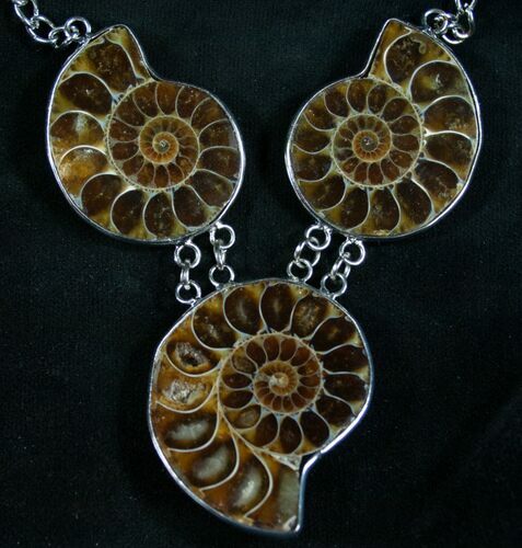 Triple Ammonite Necklace - Million Years Old #8203